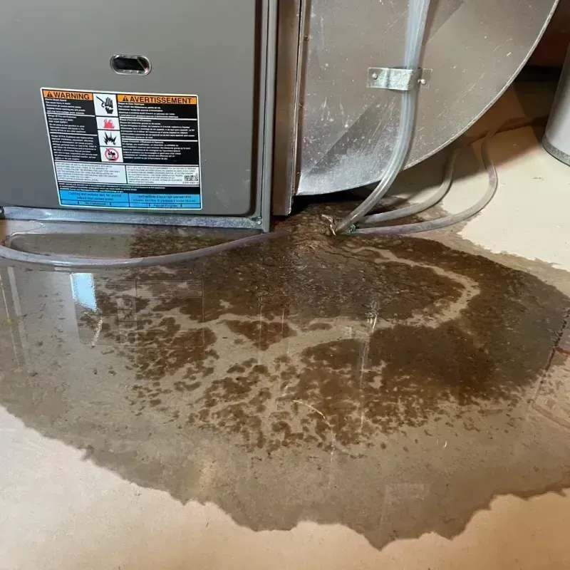 Appliance Leak Cleanup in Rubidoux, CA